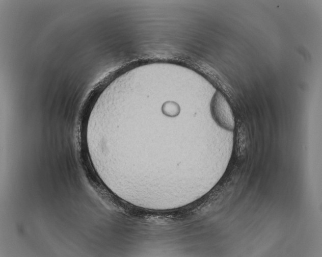 X0000111210680200908121133