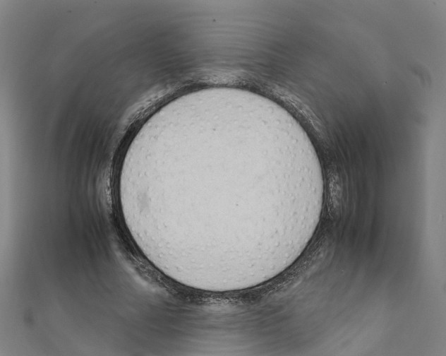 X0000111210682200908121133