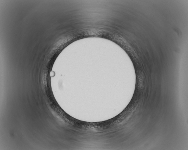 X0000111210683200908121133