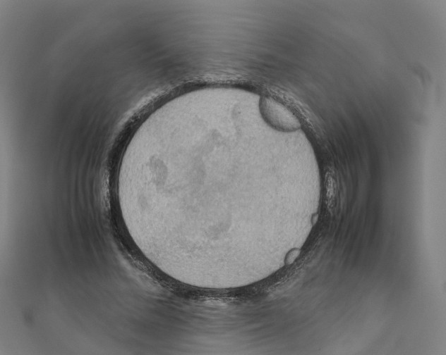 X0000111210684200908121133