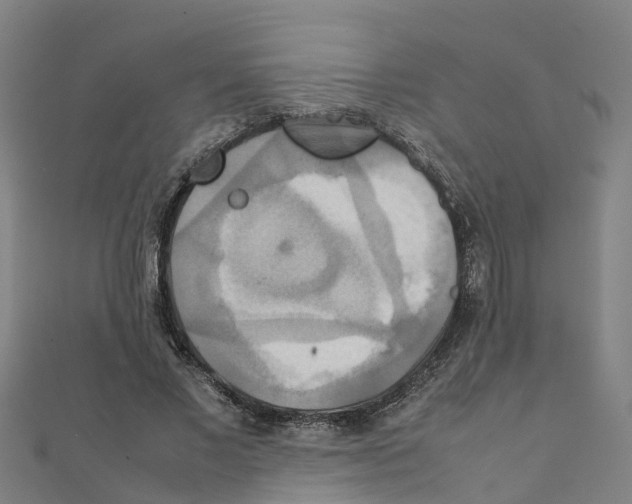 X0000111210685200908121133