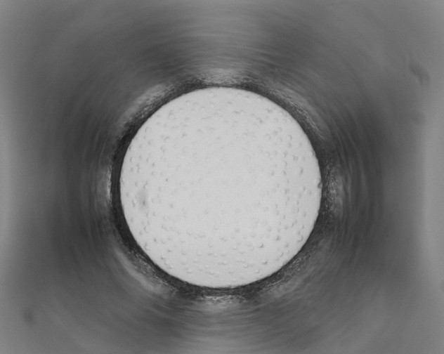 X0000111210686200908121133