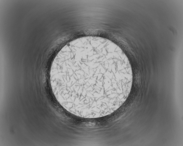 X0000111210687200908121133