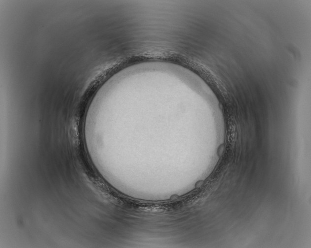 X0000111210688200908121133