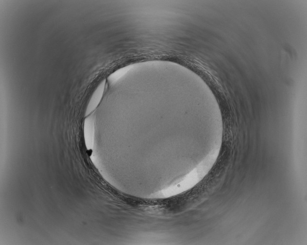 X0000111210689200908121133