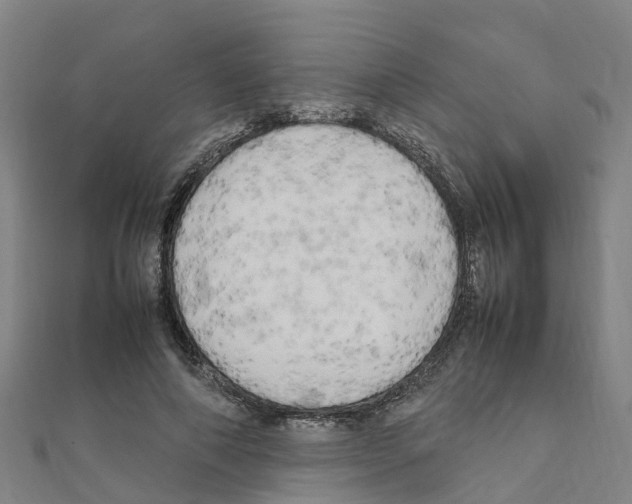 X0000111210690200908121133