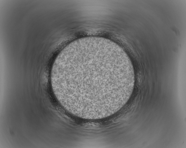 X0000111210691200908121133