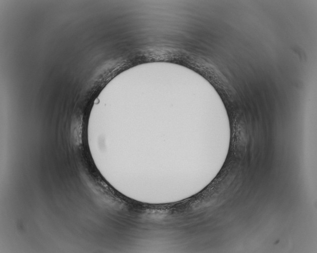 X0000111210694200908121132