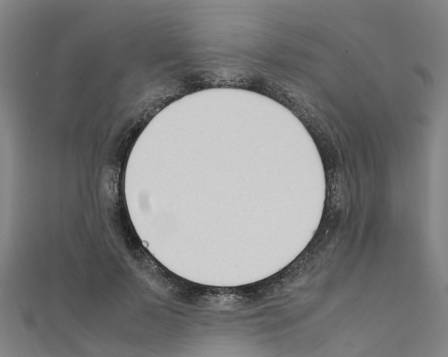 X0000111210695200908121132