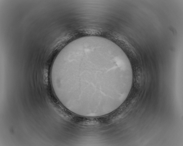 X0000111210696200908121132