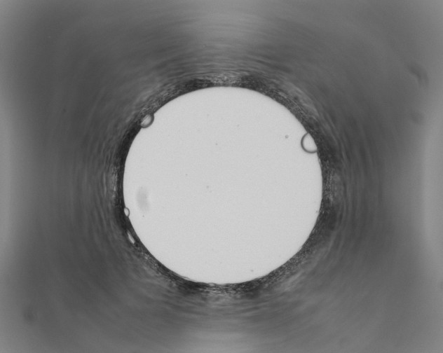 X0000111210697200908121132