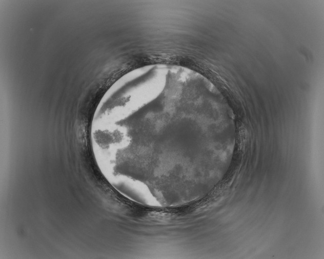 X0000111210699200908121132