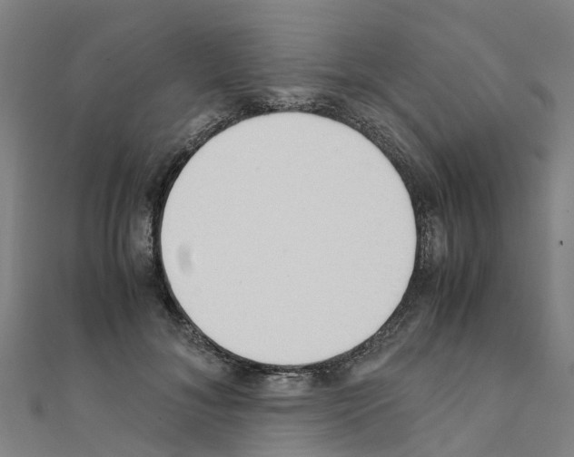 X0000111210700200908121132