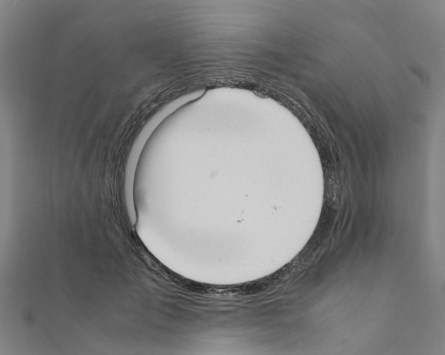 X0000111210701200908121132