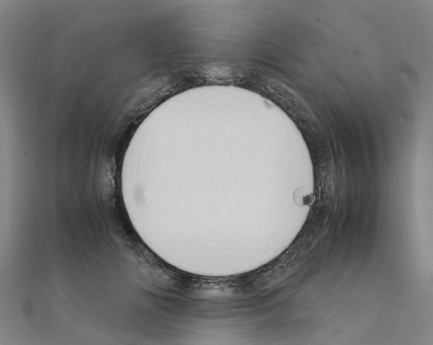 X0000111210702200908121132