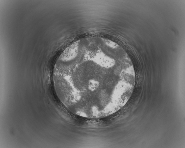 X0000111210703200908121132