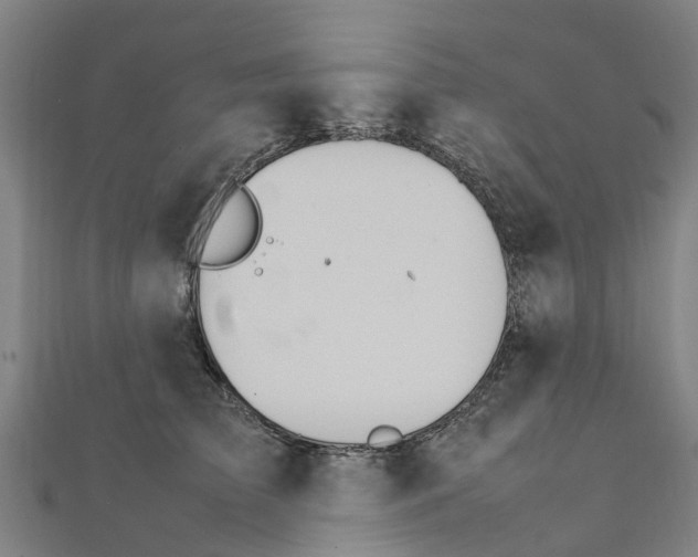 X0000111210709200908121132