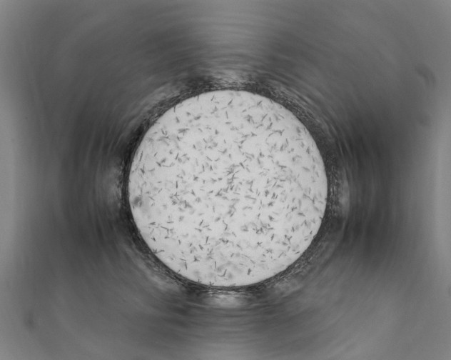 X0000111210710200908121132