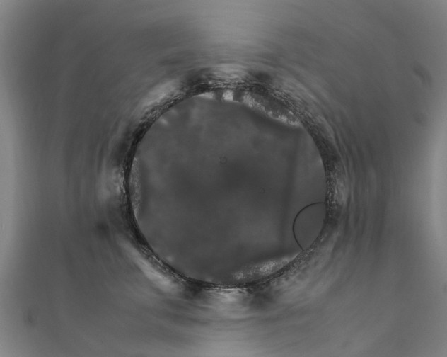 X0000111210711200908121132