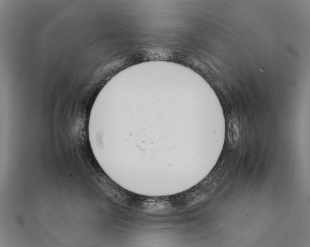 X0000111210714200908121132