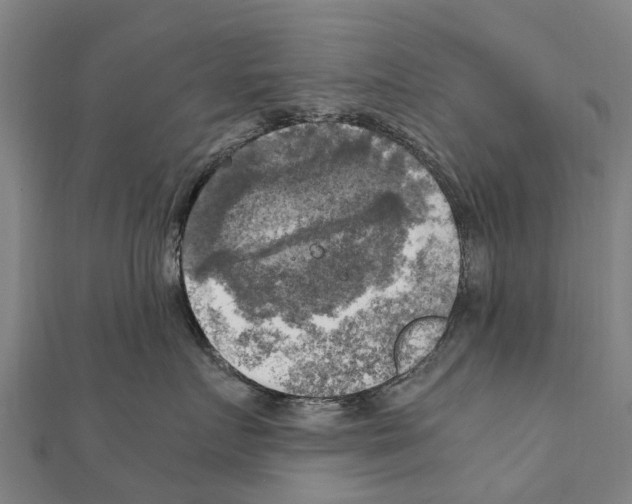 X0000111210719200908121132