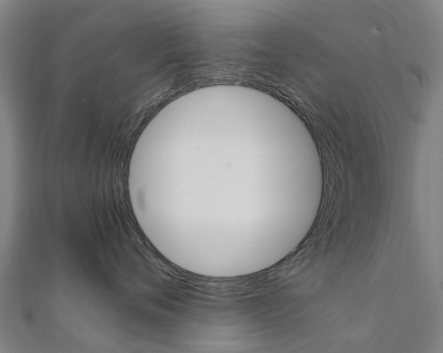 X0000111210720200908121132