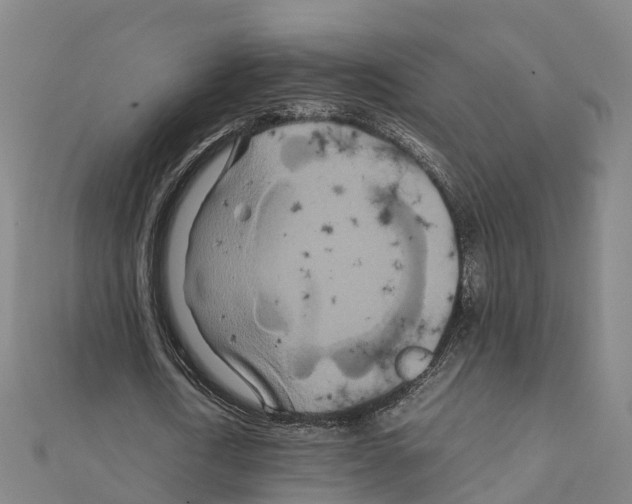 X0000111210722200908121131