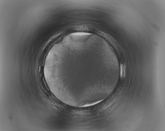 X0000111210723200908121131