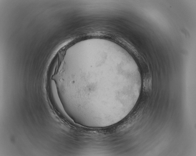 X0000111210724200908121131