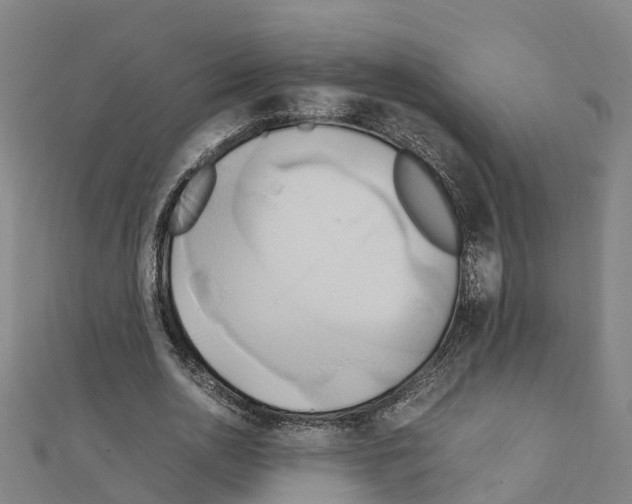 X0000111210726200908121131