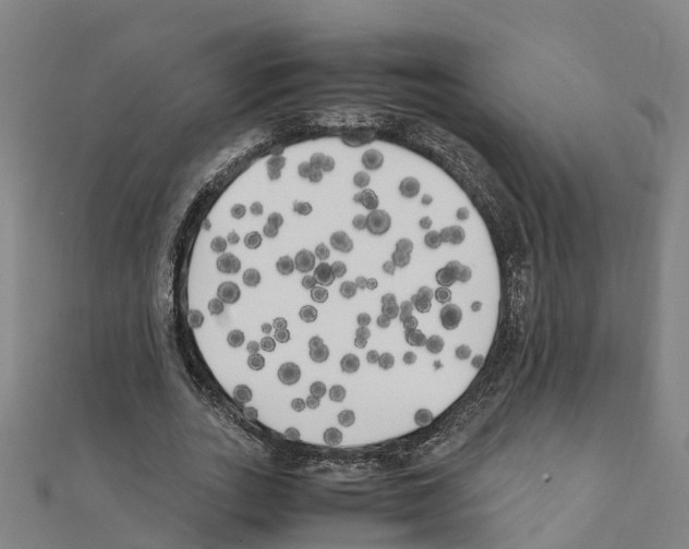 X0000111210727200908121131