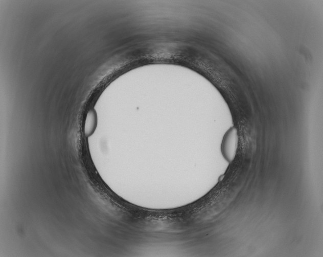 X0000111210728200908121131