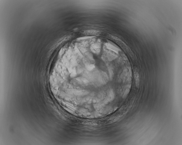 X0000111210729200908121131