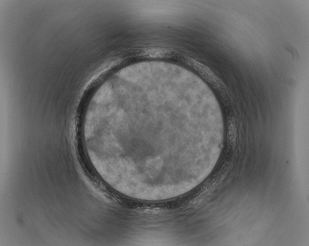 X0000111210730200908121131