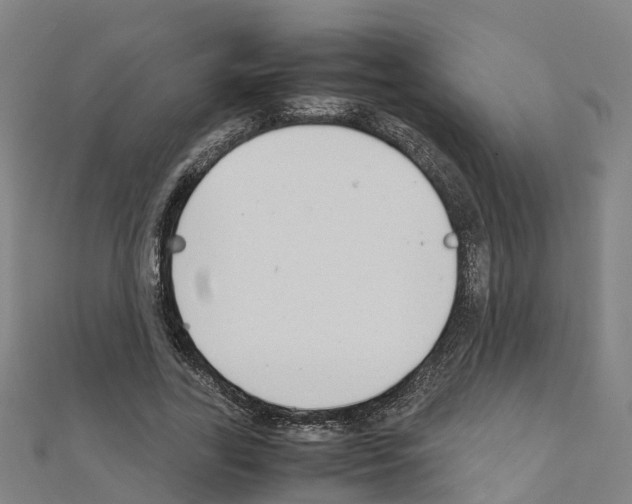 X0000111210731200908121131