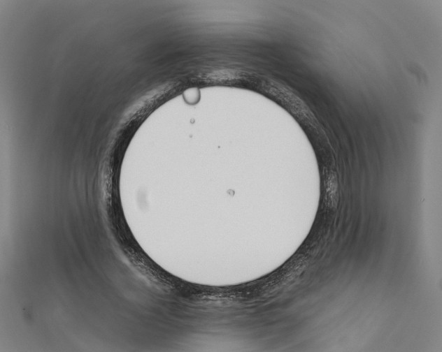 X0000111210732200908121132