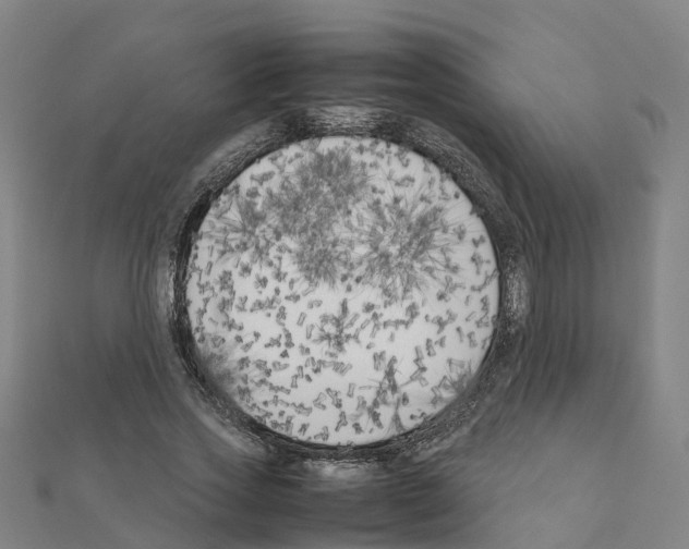 X0000111210733200908121132