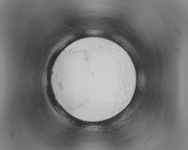 X0000111210734200908121132