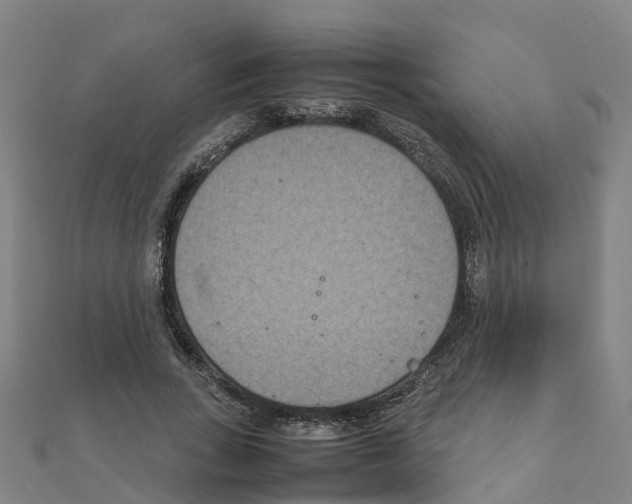 X0000111210735200908121132