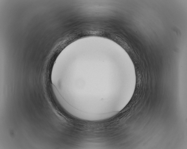 X0000111210736200908121132