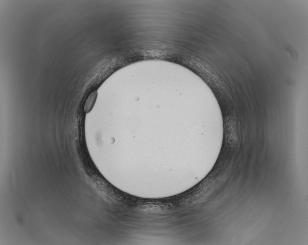 X0000111210738200908121132