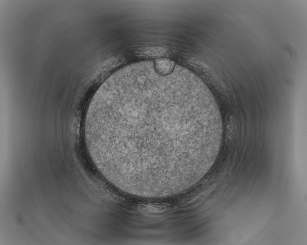 X0000111210739200908121132