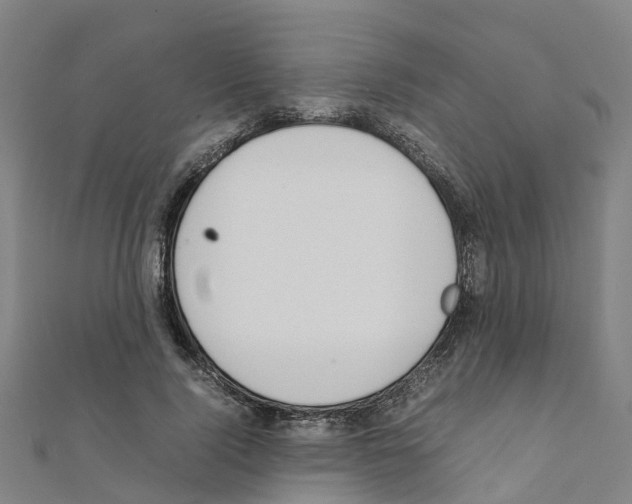 X0000111210740200908121132