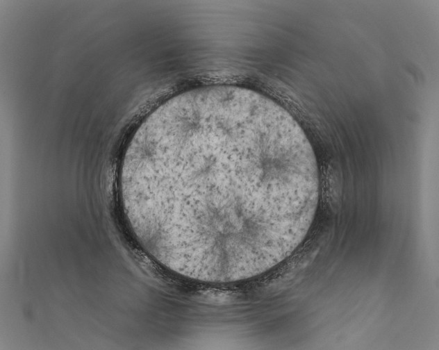 X0000111210742200908121132