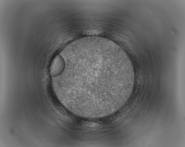 X0000111210743200908121132