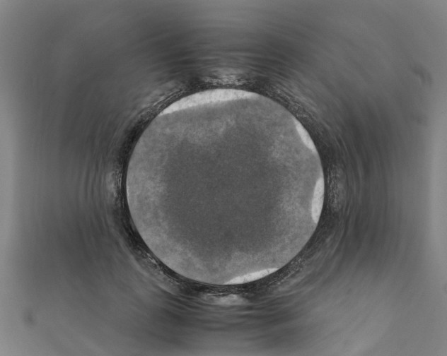 X0000111210747200908121132