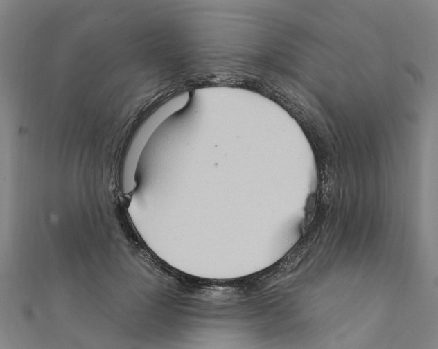 X0000111210748200908121132