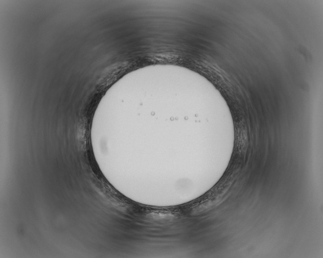 X0000111210749200908121132