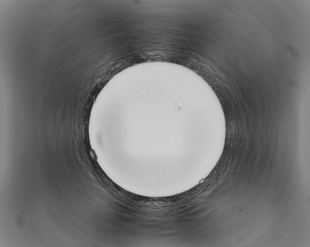 X0000111210751200908121132