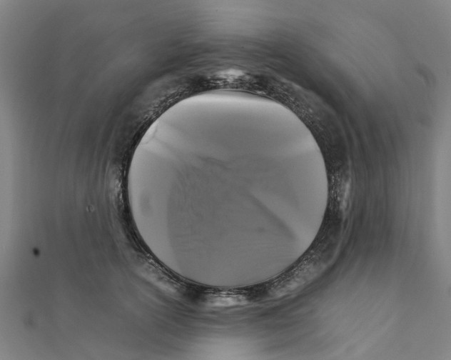 X0000111210754200908121132